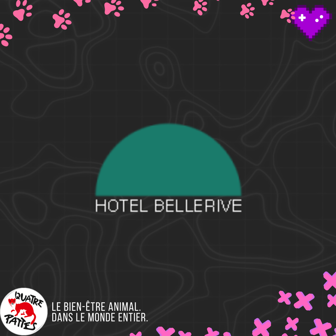 Hotel Bellerive